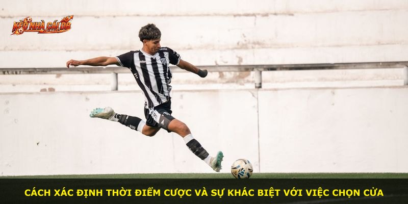 Cách xác định thời điểm cược và sự khác biệt với việc chọn cửa