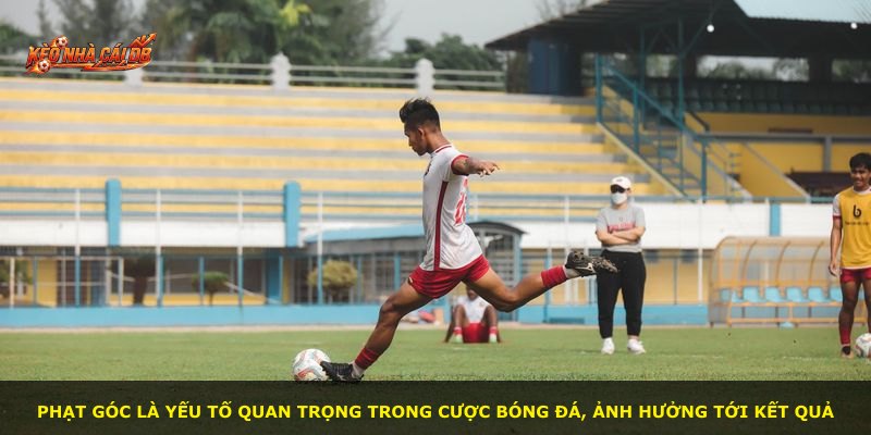 Phạt góc là yếu tố quan trọng trong cược bóng đá, ảnh hưởng tới kết quả