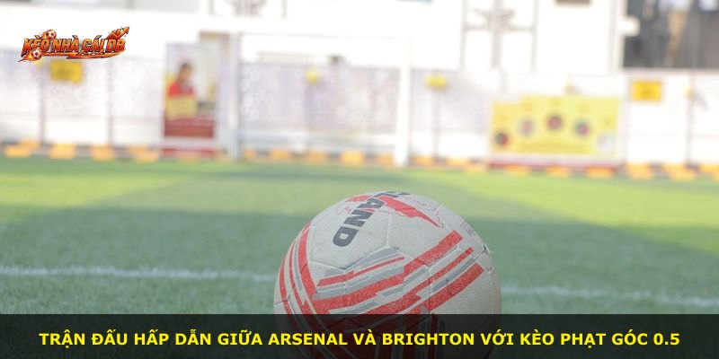 Trận đấu hấp dẫn giữa Arsenal và Brighton với kèo phạt góc 0.5