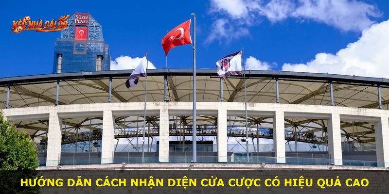 Hướng dẫn cách nhận diện cửa cược có hiệu quả cao